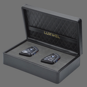 Keybox BMW