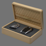Keybox BMW
